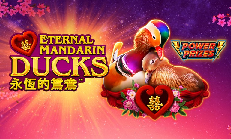 video poker machines for sale las vegas cash wizard slot machine online free play Power Prizes - Eternal Mandarin Ducks Free Online Slots