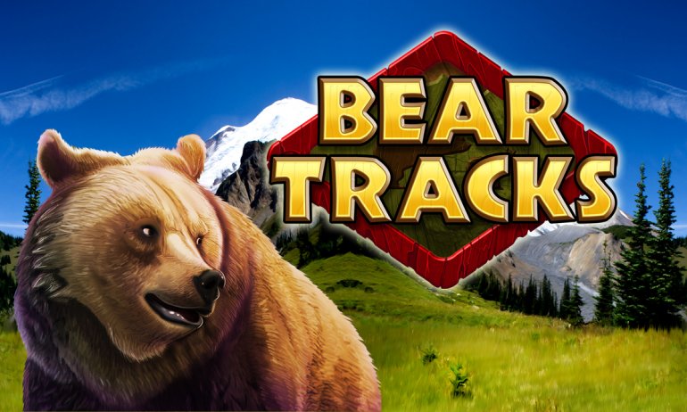 BearTracks_OV