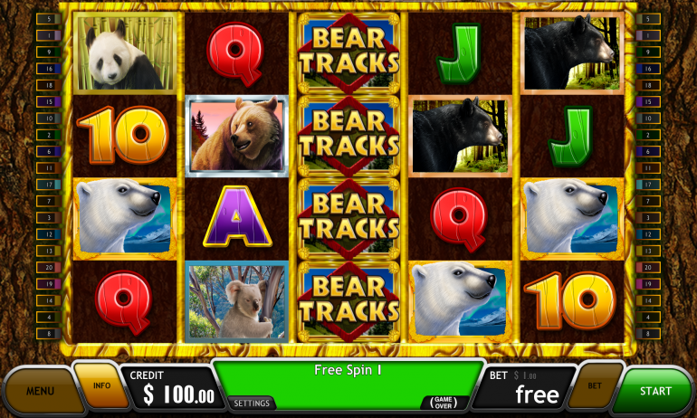 BearTracks_Feature