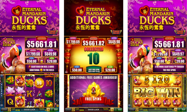 Power Prizes Eternal Mandarin Ducks Novomatic Americas