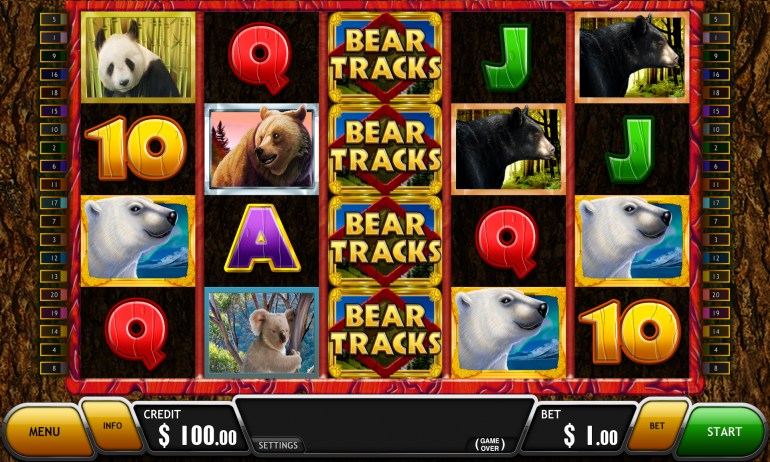 BearTracks_NoWin