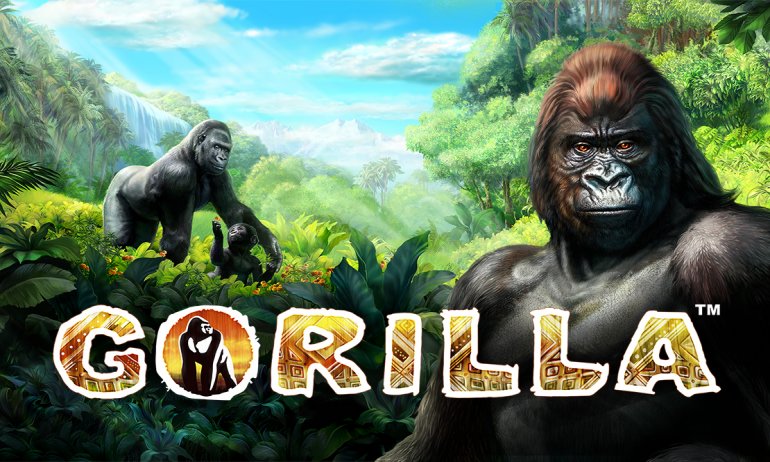 Gorilla_Ov