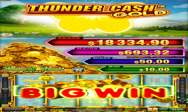 TCGButterflyQuestCoins_US_Big_Win