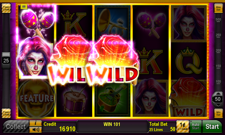 win_wild_2