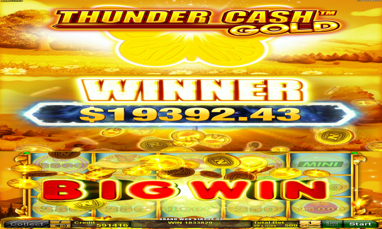 TCGButterflyQuestCoins_US_Feature_End_Banner_Big_Win2