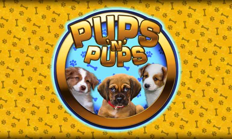 MagicGames_PupsNPups_Ov